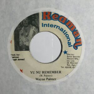 Wayne Palmer - Yu Nu Remember