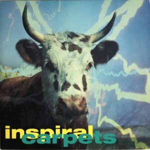 Inspiral Carpets – She Comes In The Fall