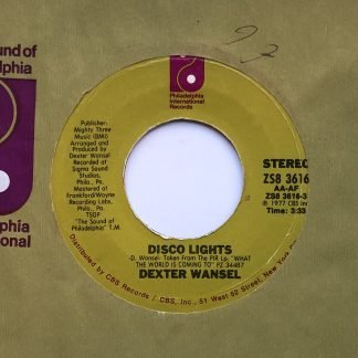Dexter Wansel ‎– Disco Lights