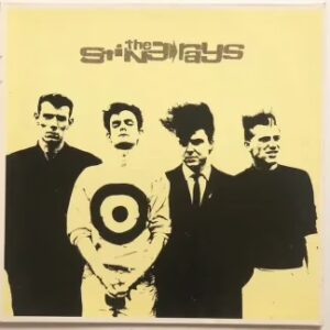 The Stingrays – Don't Break Down